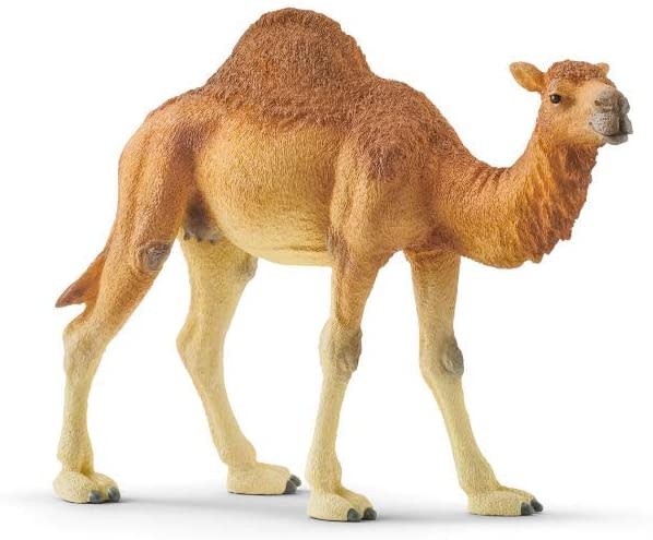Dromedary Figure by Schleich