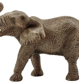 African Elephant, Male