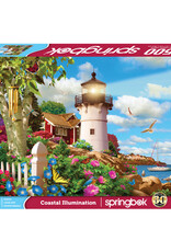 Coastal Illumination 500 pc Puz