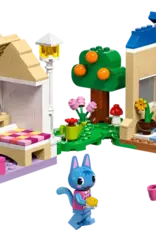 77050 Nook's Cranny & Rosie's House